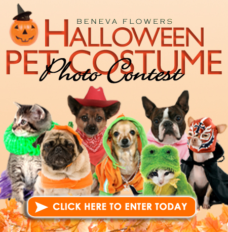 9 Halloween Contest Ideas for Social Media [& Examples] – Woobox Blog