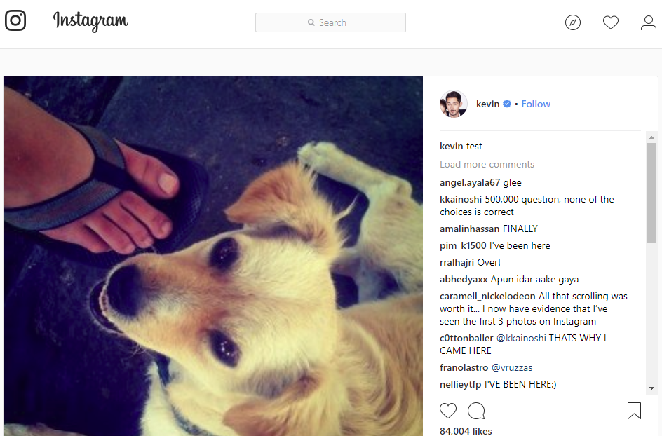 much like the first words spoken on a telephone the first instagram photo is underwhelming it is a picture of kevin s dog and part of his girlfriend s - how to build a great instagram following