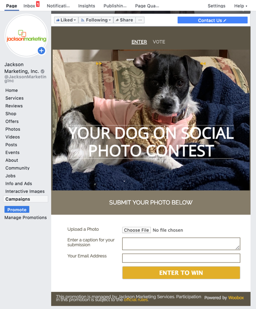 How to Create & Embed a Photo Contest on Facebook Easily