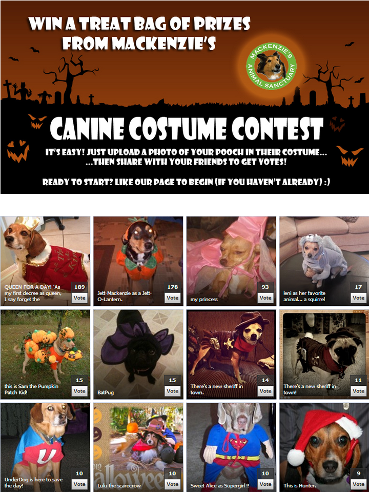 McKenzie's-Canine-Contest-Entry-Page