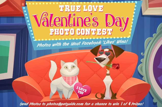 Village Market on Instagram: ✨VALENTINES PHOTOCHALLENGE GIVEAWAY ✨ Love is  in the air at VM and we'd love for you to see it!😍❤️ This Valentine's  Season we are giving away 6 Fun