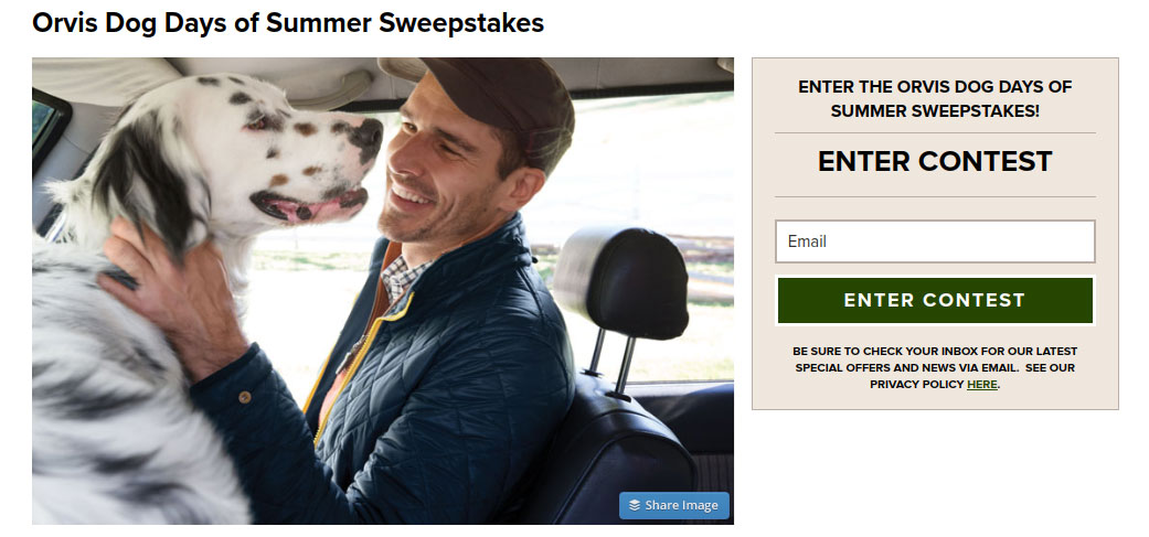 summer sweepstakes ideas and examples