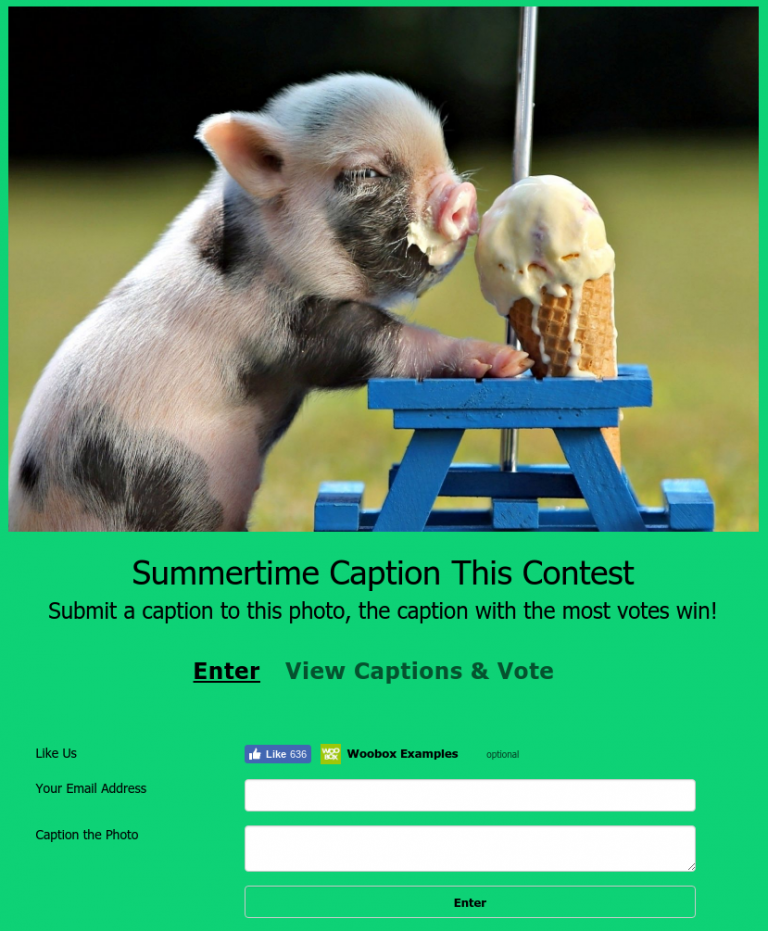 15 Quick and Easy Summer Contest Ideas – Woobox Blog